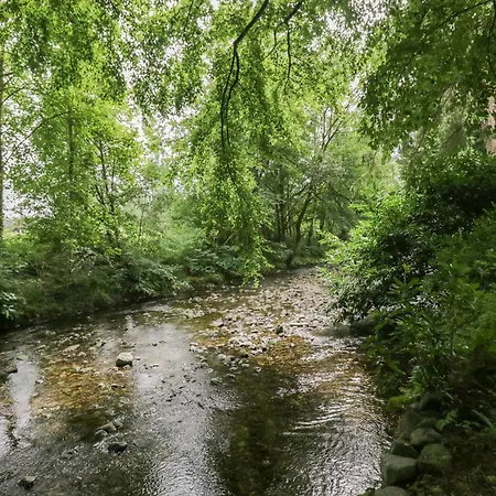 Coleridge * 安布尔塞德